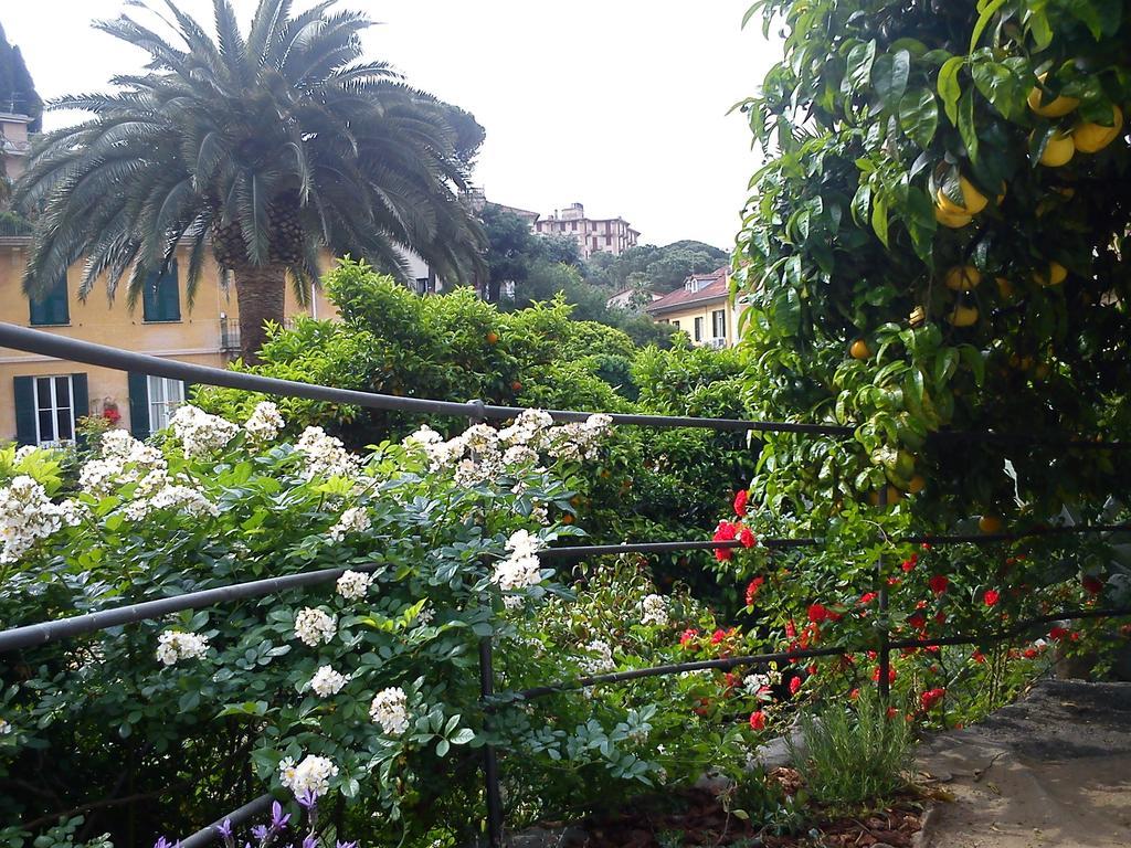 ראפאלו Hotel Canali, Portofino Coast מראה חיצוני תמונה